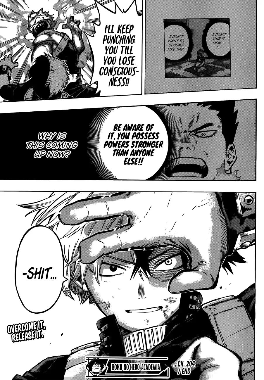 Boku no Hero Academia Chapter 204 15